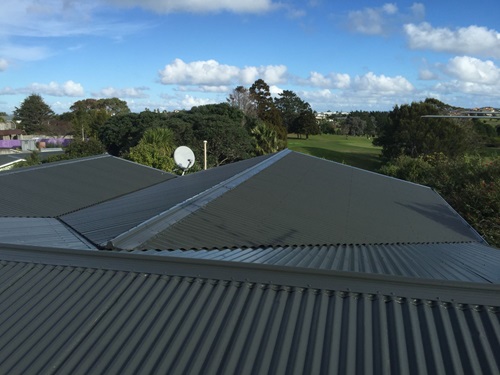 Roof Painting 2